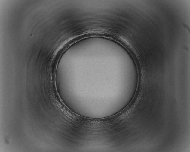 X0000102030923200807181003