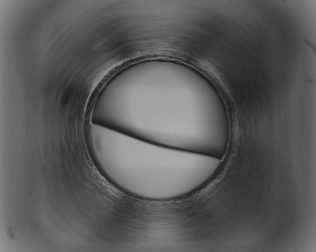 X0000102030924200807181003