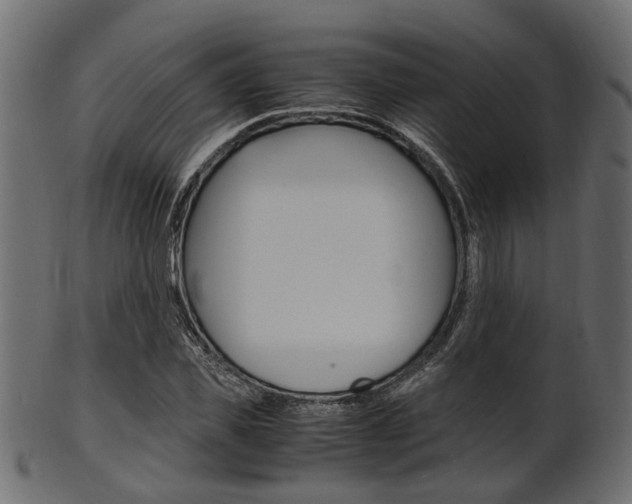 X0000102030925200807181003