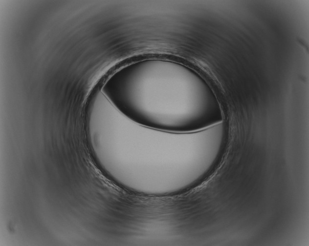 X0000102030926200807181003
