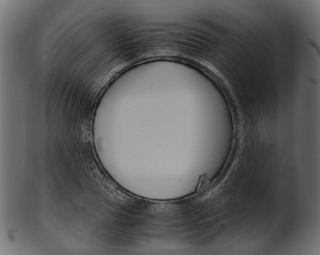 X0000102030929200807181003