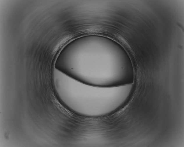 X0000102030930200807181003