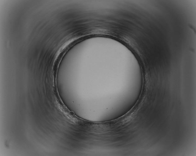 X0000102030931200807181003