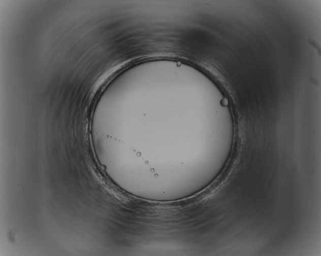 X0000102030933200807181003