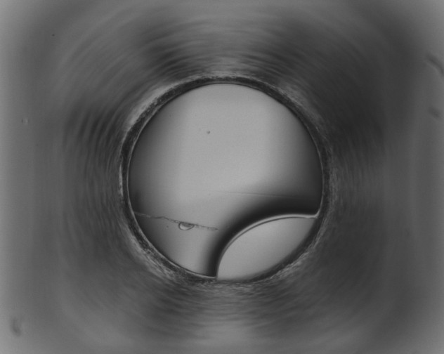 X0000102030934200807181003