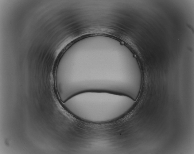 X0000102030936200807181003