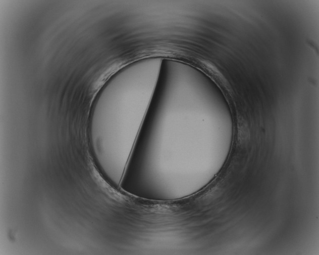 X0000102030938200807181003