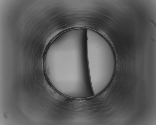 X0000102030939200807181003