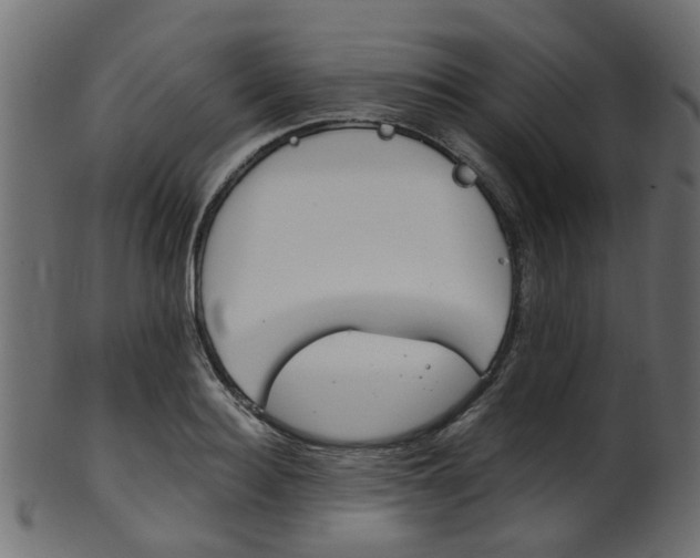X0000102030940200807181003