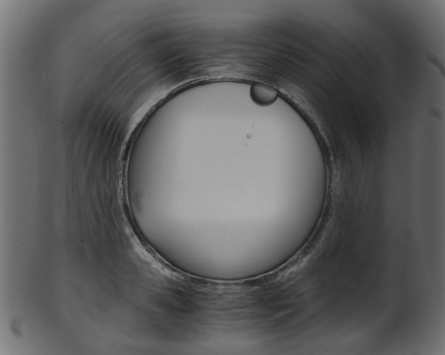 X0000102030941200807181003
