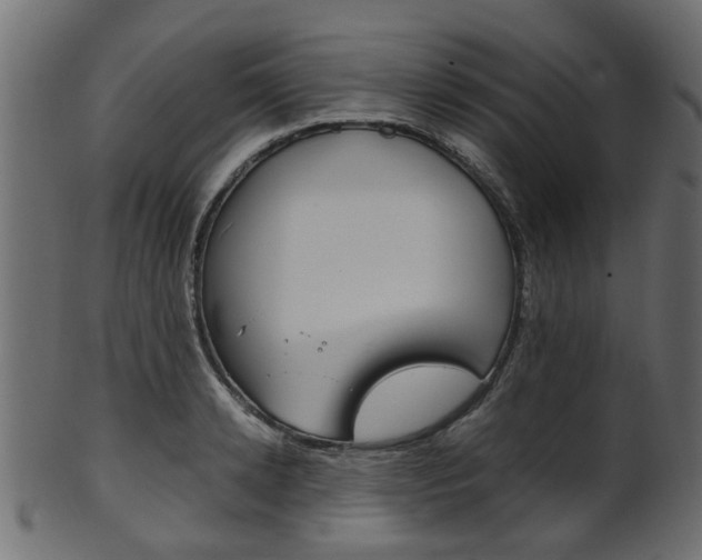 X0000102030942200807181003