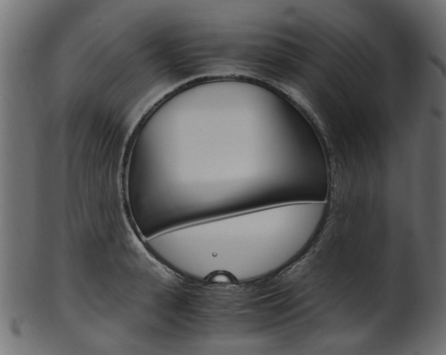 X0000102030943200807181003