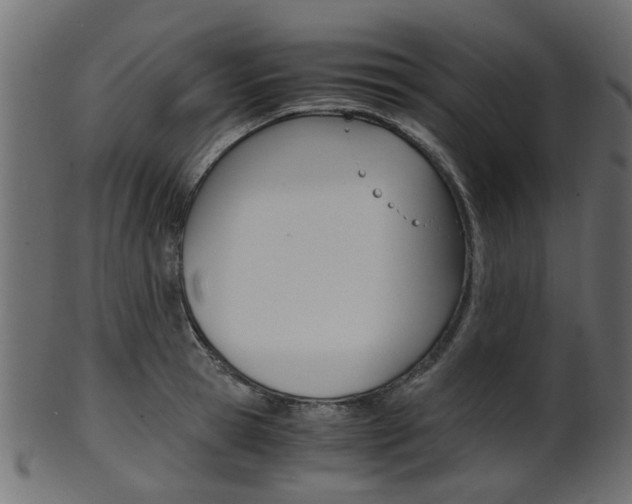 X0000102030945200807181003