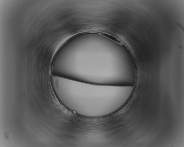 X0000102030948200807181003