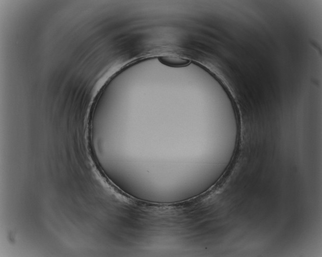 X0000102030949200807181003