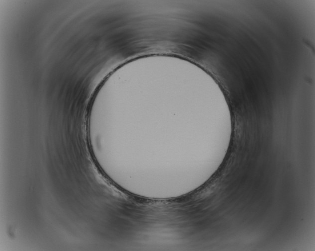 X0000102030950200807181003