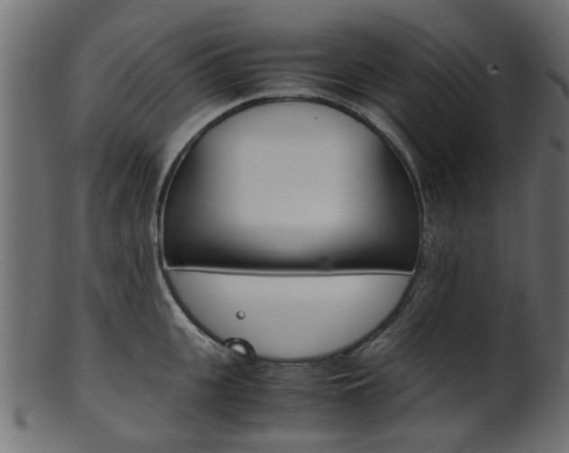 X0000102030951200807181003