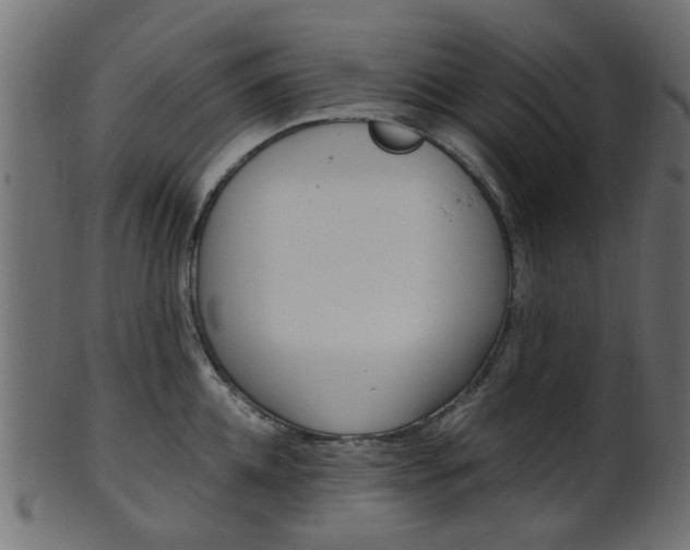 X0000102030952200807181003