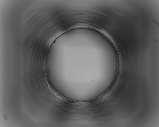 X0000102030953200807181003