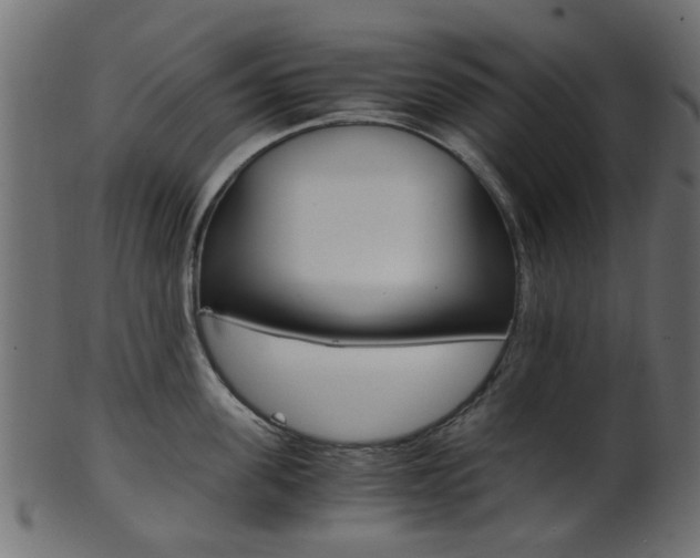 X0000102030955200807181003