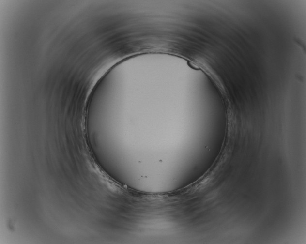 X0000102030956200807181003