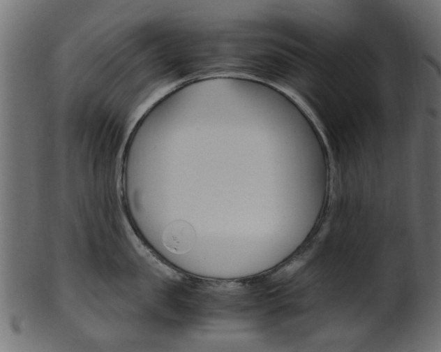 X0000102030957200807181003