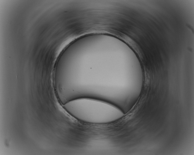 X0000102030958200807181003