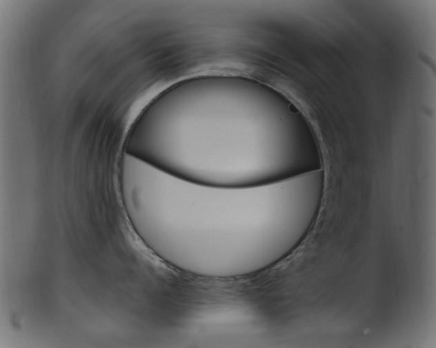 X0000102030960200807181003