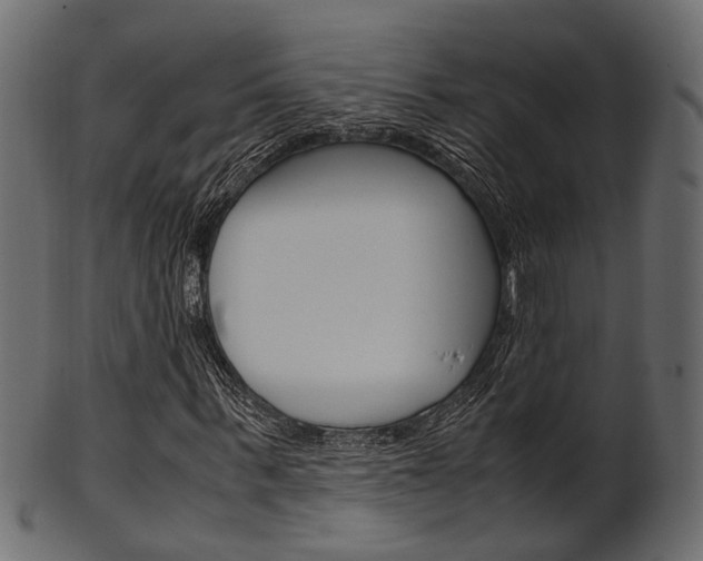 X0000102030963200807181002