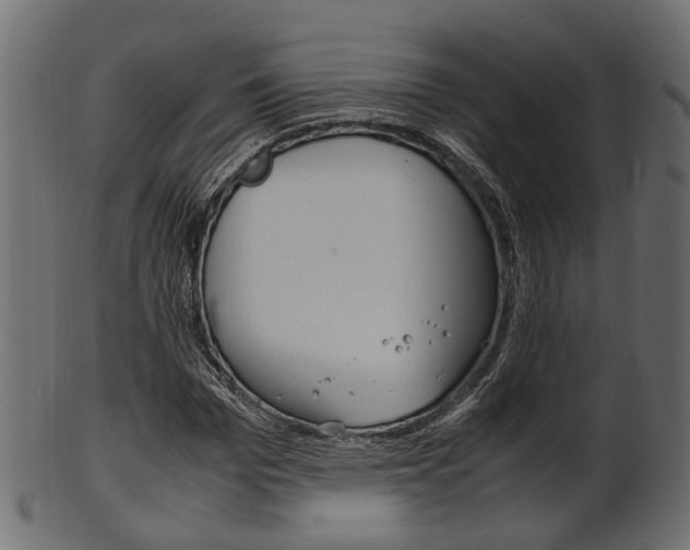 X0000102030969200807181002