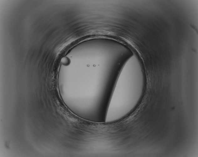 X0000102030971200807181002