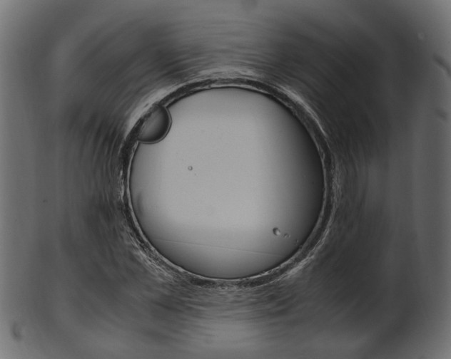 X0000102030973200807181002