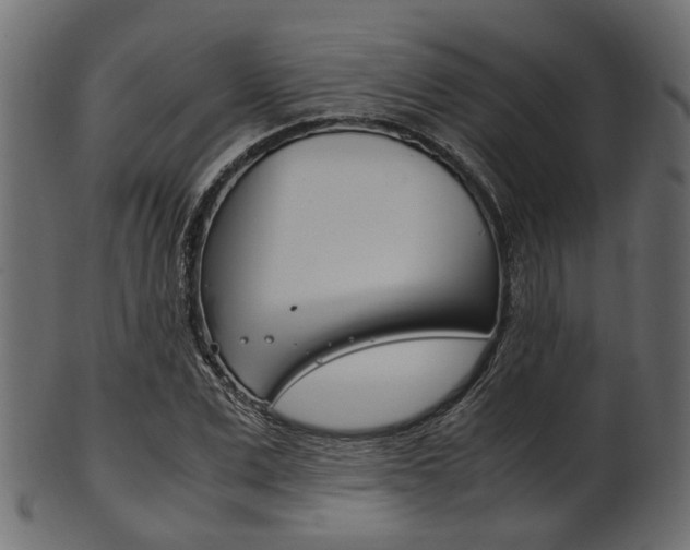 X0000102030975200807181002