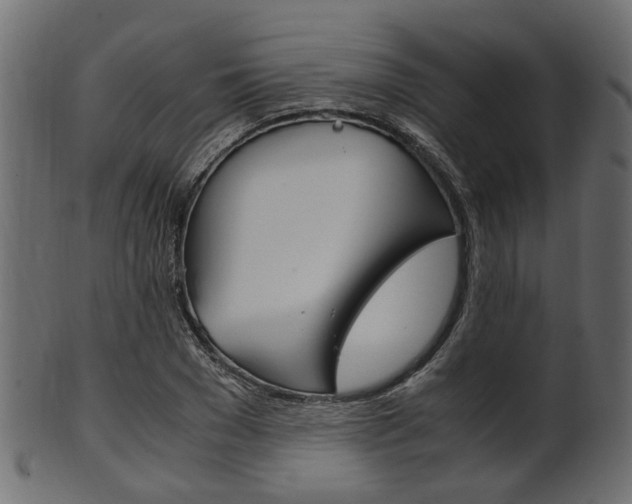 X0000102030977200807181002