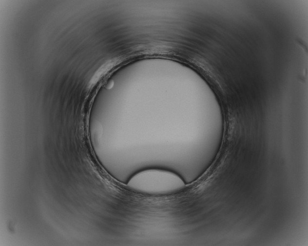 X0000102030978200807181002