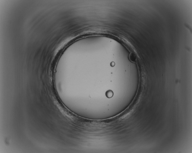 X0000102030981200807181002