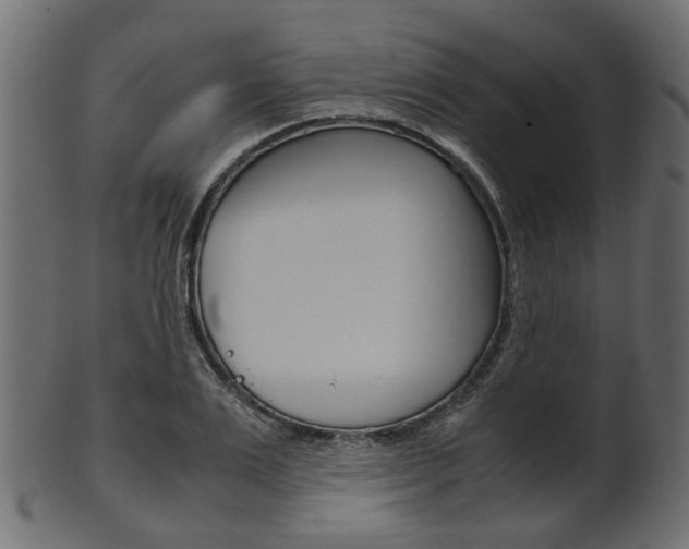 X0000102030983200807181002