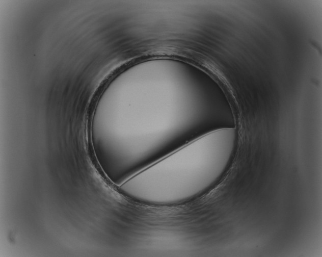 X0000102030984200807181002