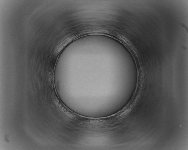 X0000102030985200807181002