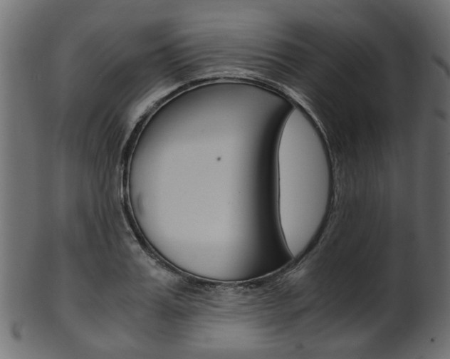 X0000102030987200807181002