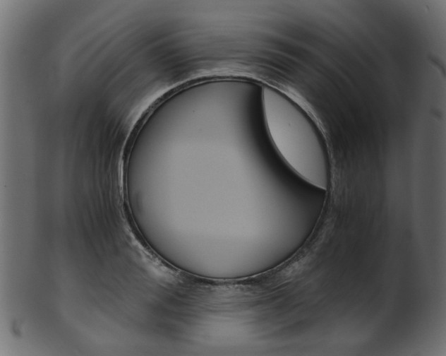 X0000102030988200807181002