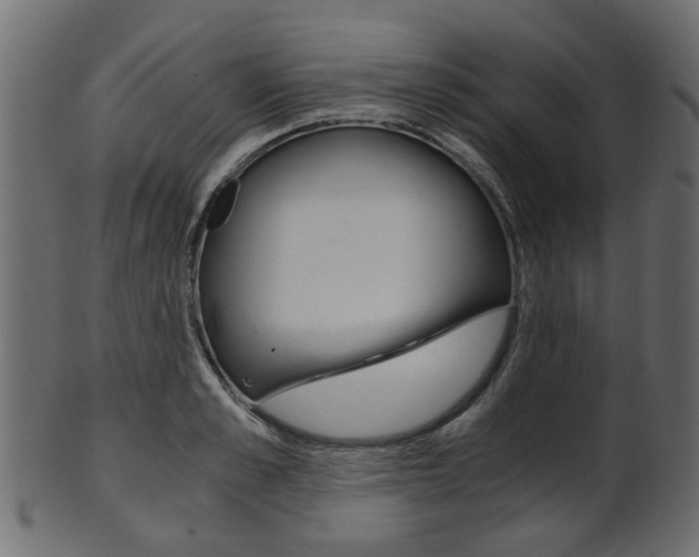 X0000102030989200807181002