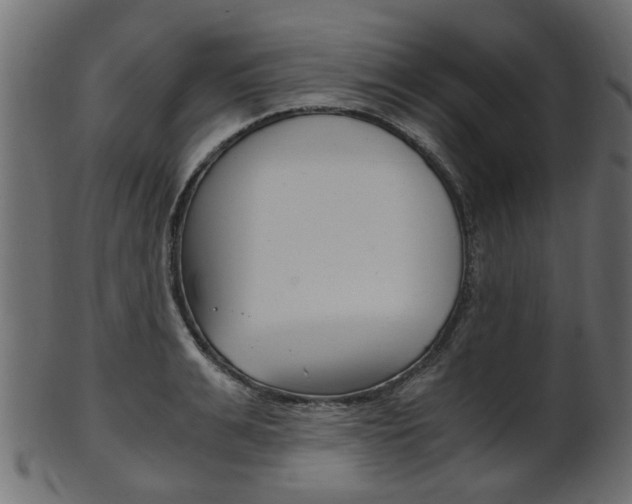 X0000102030991200807181002