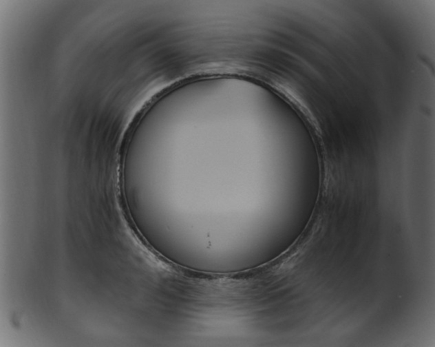 X0000102030992200807181002