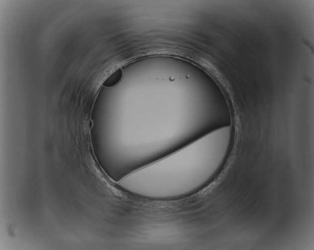 X0000102030993200807181002