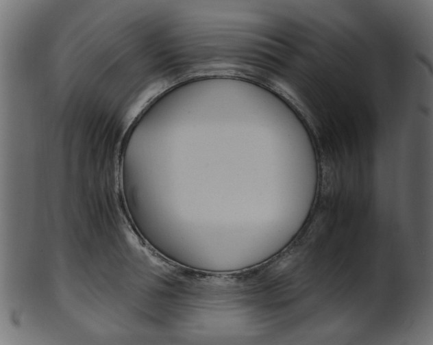 X0000102030994200807181002