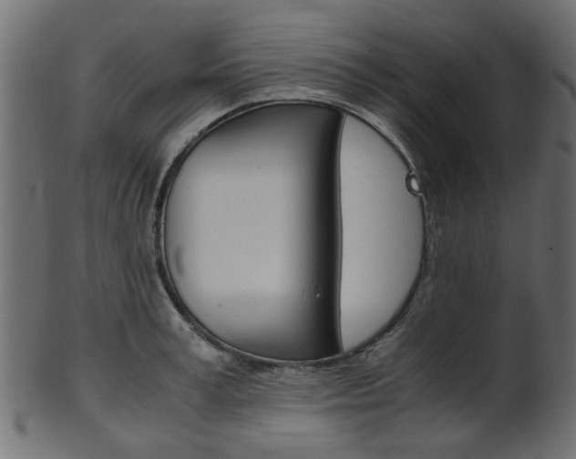 X0000102030995200807181002