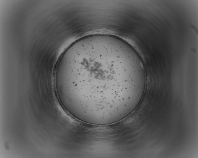X0000102030998200807181002
