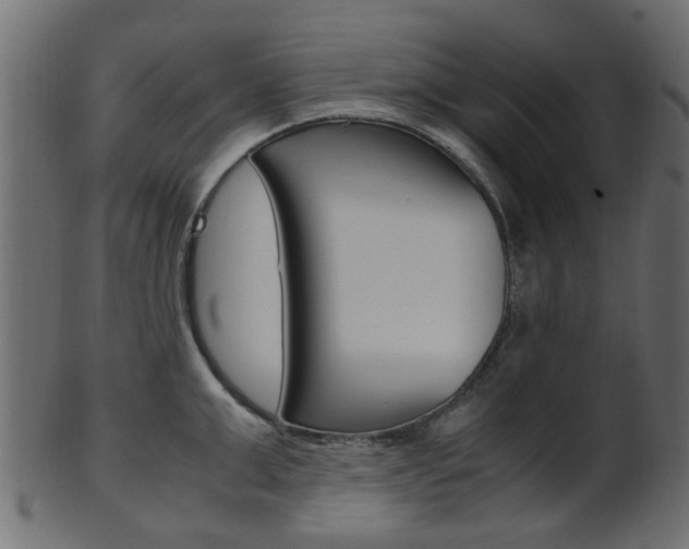 X0000102030999200807181002