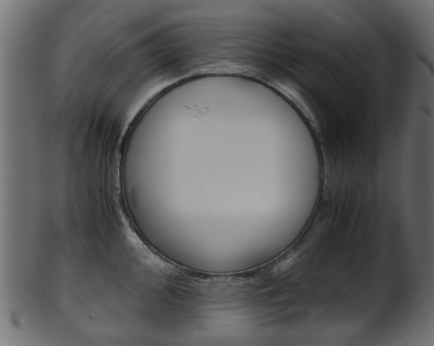 X0000102031000200807181002